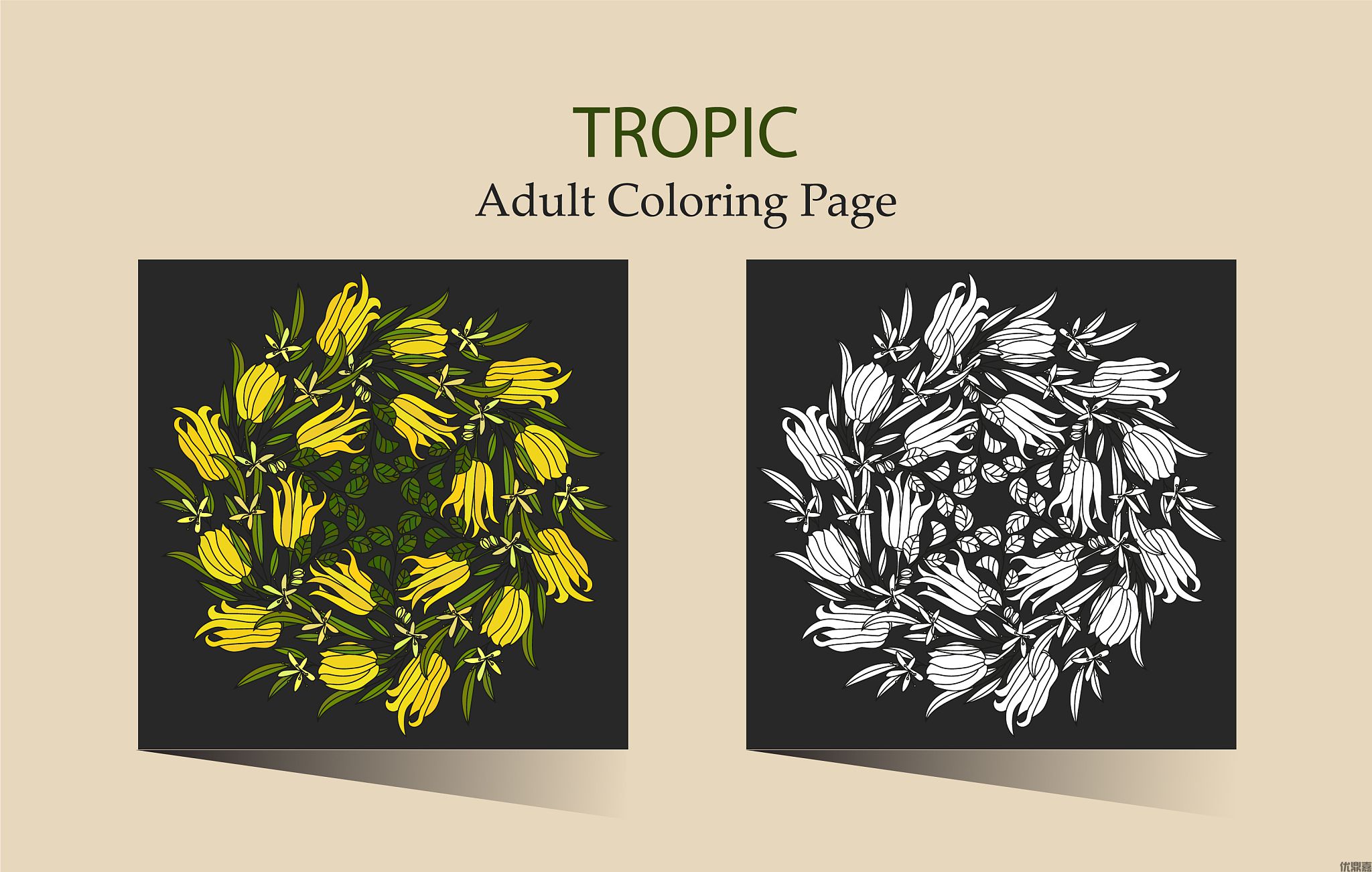 泰國家用裝飾品進口代理流程詳解